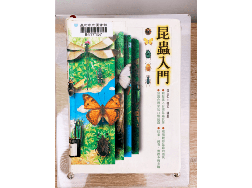 昆蟲觀察入門