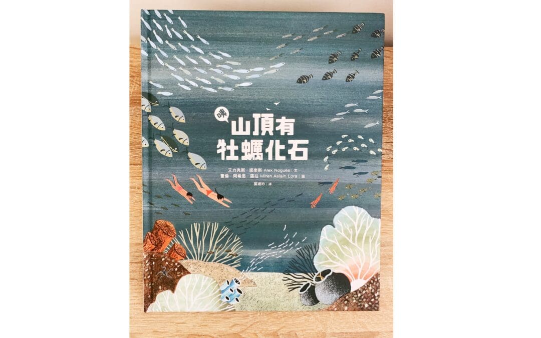 咦，山頂有牡蠣化石