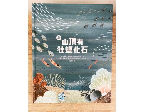 咦，山頂有牡蠣化石