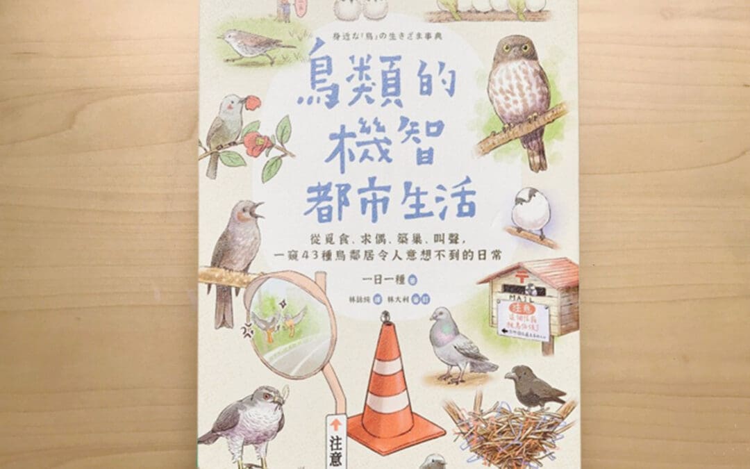 鳥類的機智都市生活