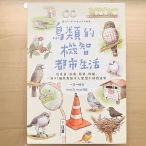 鳥類的機智都市生活