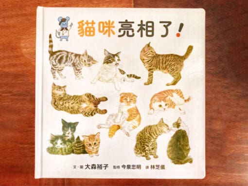 貓咪亮相了！