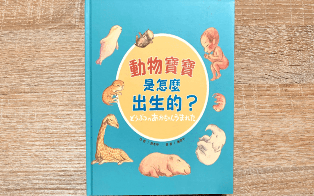 動物寶寶是怎麼出生的？
