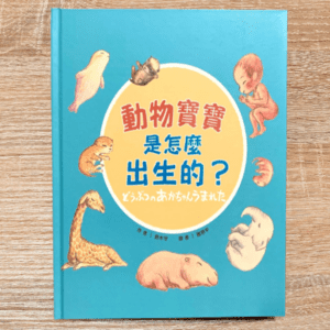 動物寶寶是怎麼出生的？