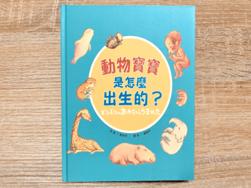 動物寶寶是怎麼出生的？