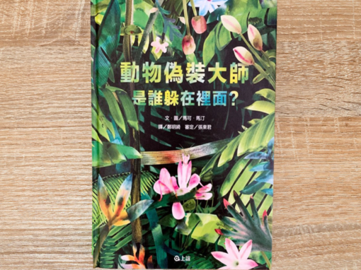 動物偽裝大師：是誰躲在裡面？