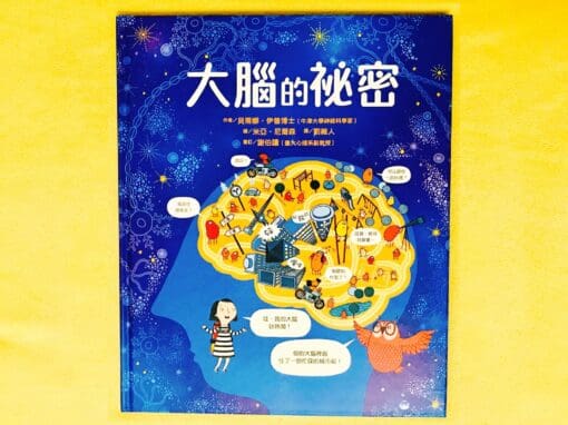 大腦的祕密