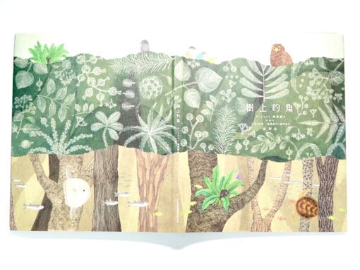 樹上的魚《Lokot 鳥巢蕨》