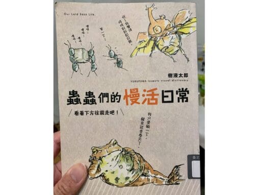 蟲蟲們的慢活日常：看著下方往前吧！