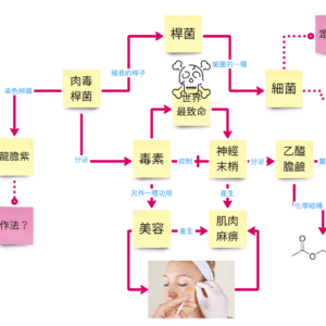 知識讀本一魚兩吃（進階篇，國小中高年級）・暑假閱讀計畫第三課！