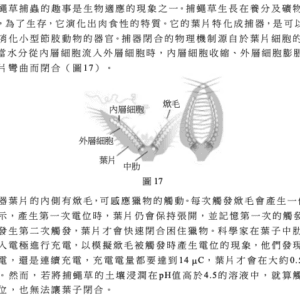 從學測自然科考題找出課綱對孩子的期許！