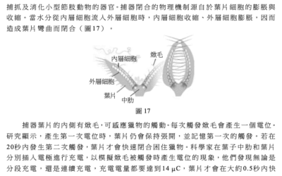 從學測自然科考題找出課綱對孩子的期許！