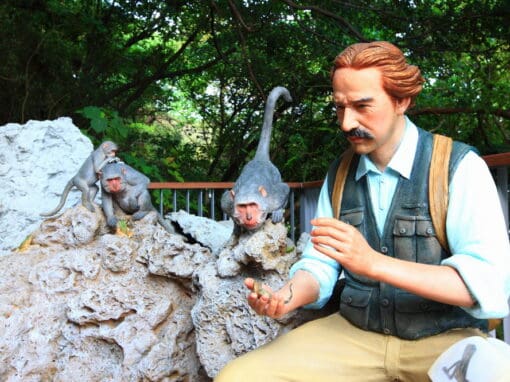 從斯文豪來認識學校少見的那一塊臺灣歷史，關於臺灣生物的歷史。