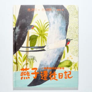 燕子遷徙日記：一段飛越地球的旅程