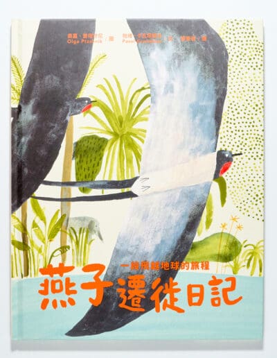 燕子遷徙日記：一段飛越地球的旅程