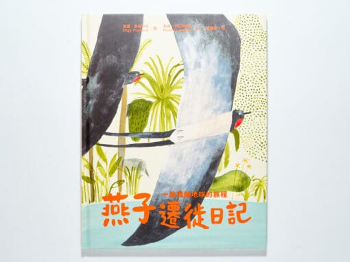 燕子遷徙日記：一段飛越地球的旅程
